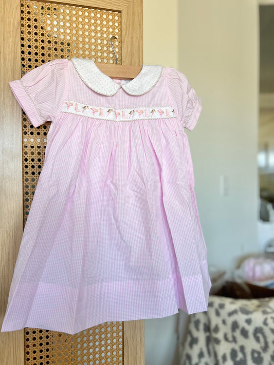 Cowgirl Ribbon Dress